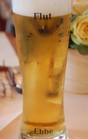 Bilder 050