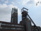 Bilder 111