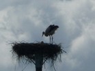 Bilder 069